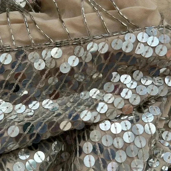 Haute Hippie XS Silver Sequence dress - Picture 10 of 12